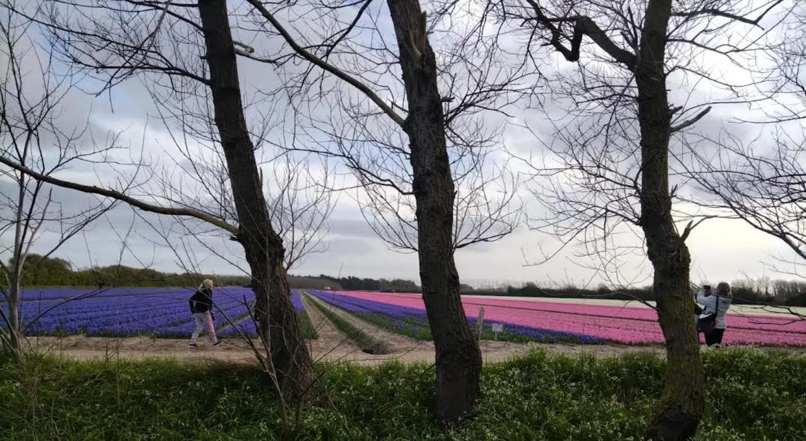 فيلا Trouz Ar Mor Penmarcʼh المظهر الخارجي الصورة